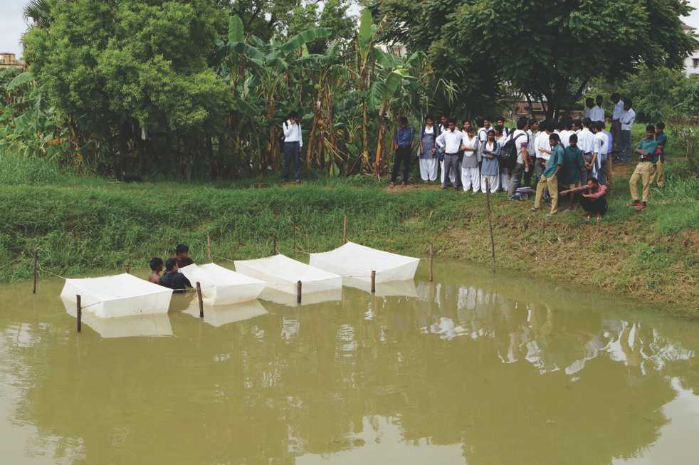 POND FOR FISHERIES