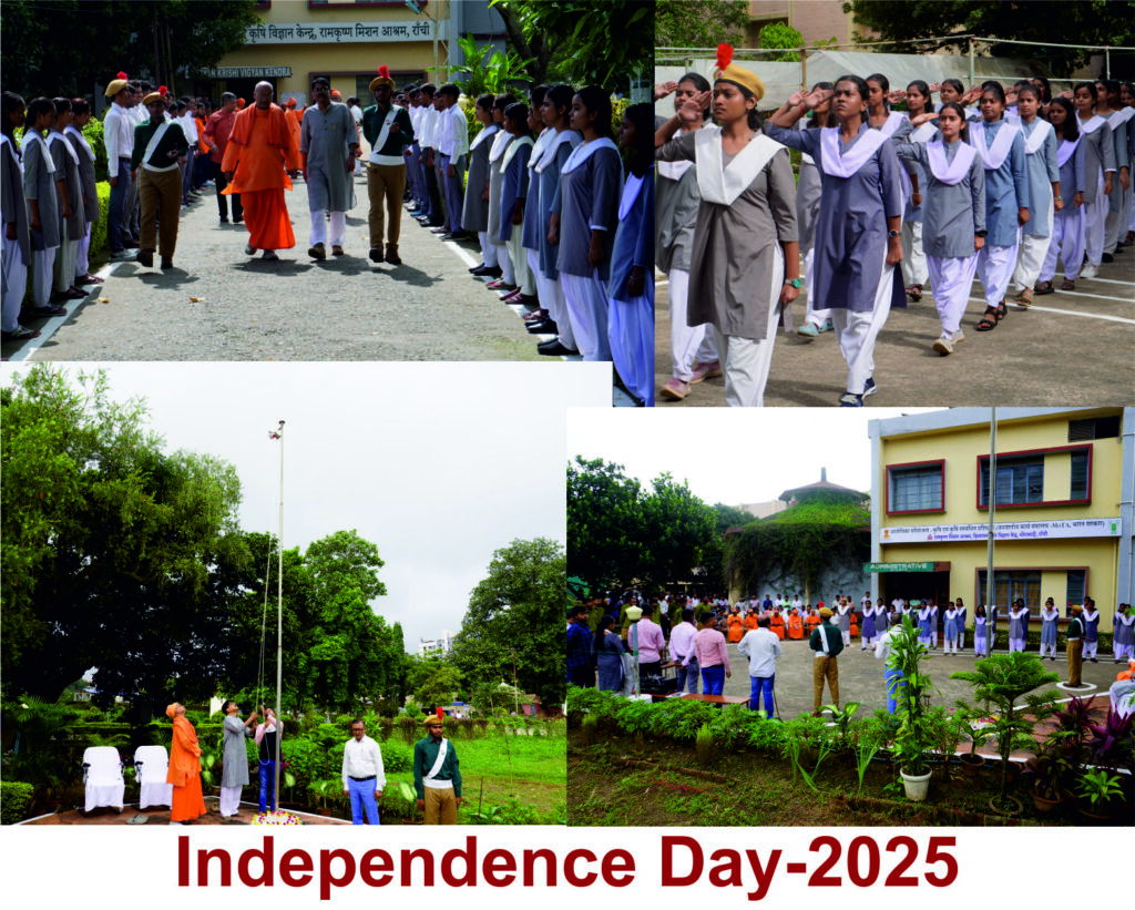 webbanner_independence